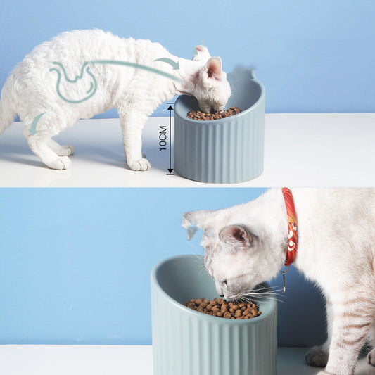 Roman cat bowl ceramic