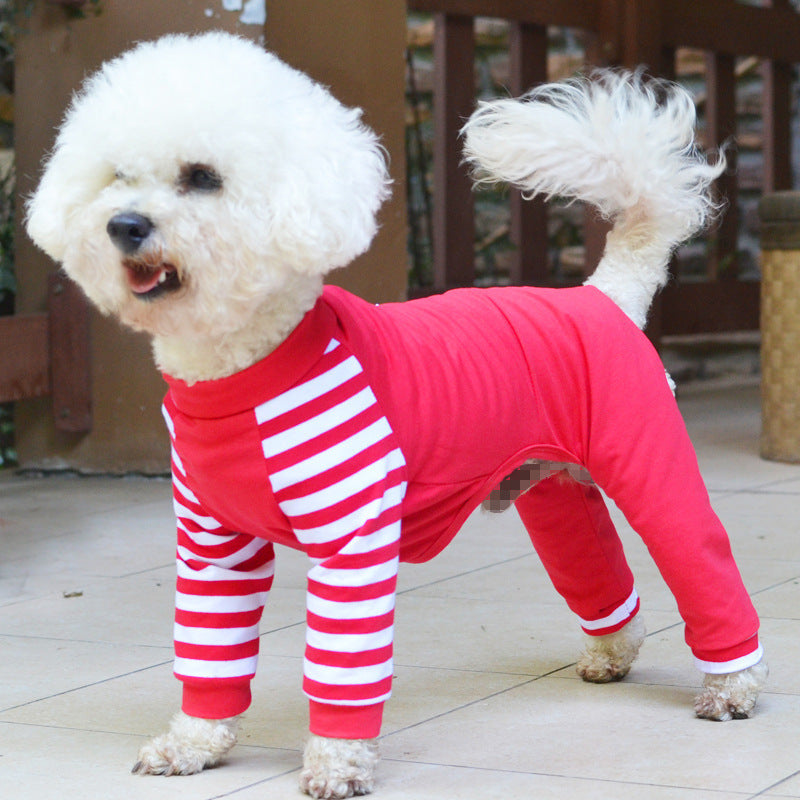 Teddy bear dog four legged clothes