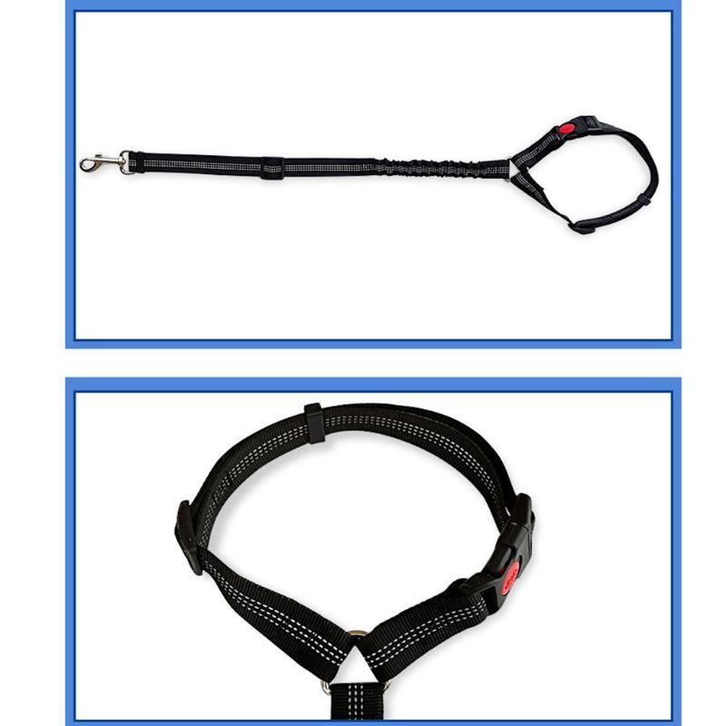 Safety Rope Elastic Traction Rope Dog Chain