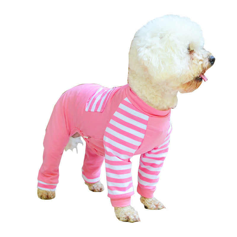 Teddy bear dog four legged clothes