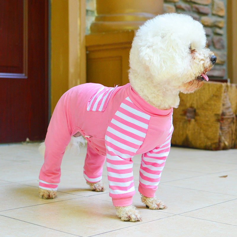 Teddy bear dog four legged clothes