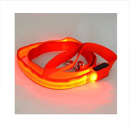 LED Illuminated Traction Nylon Pet Leash